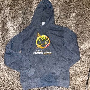 Gray Hunger Games Logo Hoodie